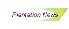 Plantation News